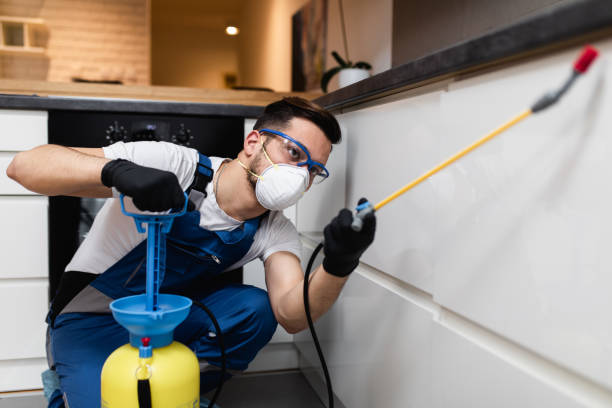  Boston, GA Pest Control Pros