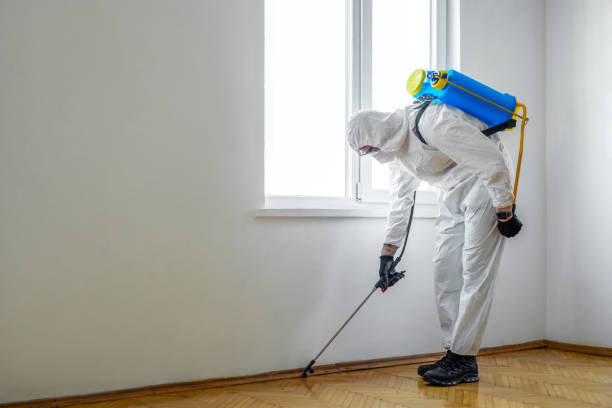 Best Commercial Pest Control Services  in Boston, GA