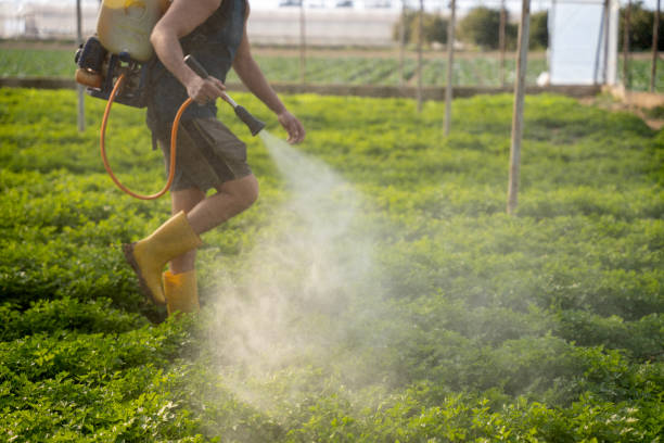 Best Affordable Pest Control Services  in Boston, GA