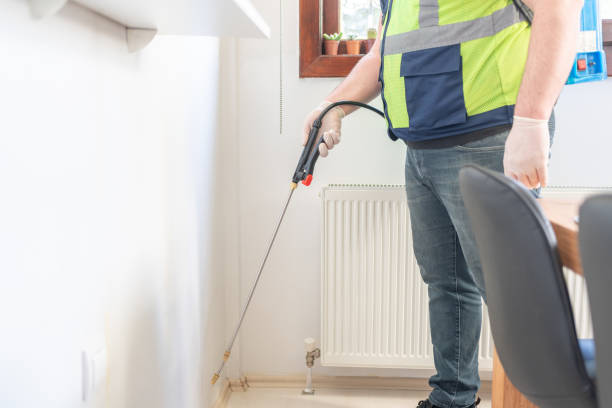 Best Affordable Pest Control Services  in Boston, GA