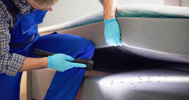Reliable Boston, GA Pest Control Solutions