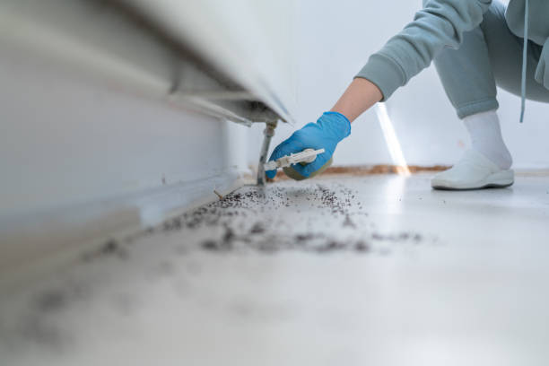 Best Exterminator Services  in Boston, GA