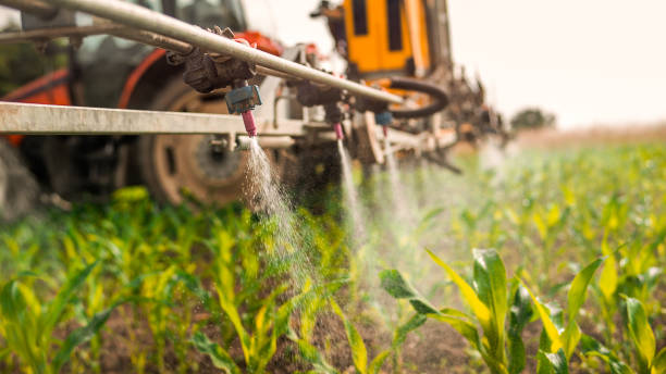 Best Commercial Pest Control Services  in Boston, GA